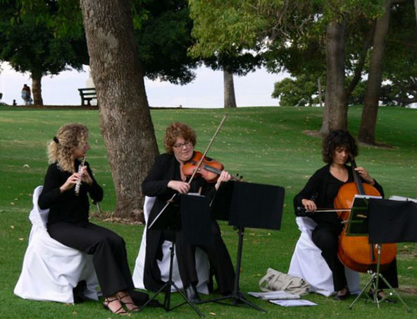 String Quartet Perth - Wonderful With Wine - Musicians